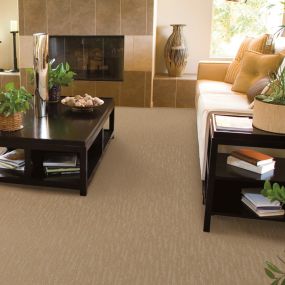 Enhance the comfort and longevity of your carpets with our top-quality carpet padding, designed for ultimate performance.