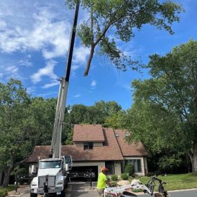 Bild von Miller Tree Service