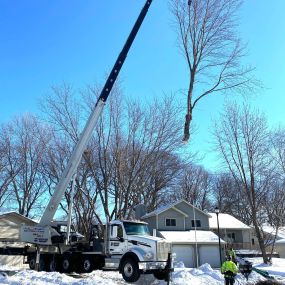 Bild von Miller Tree Service