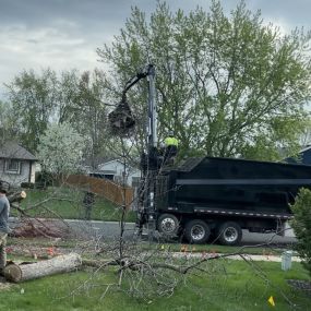 Bild von Miller Tree Service