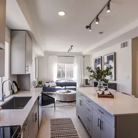 Dining Area and Kitchen