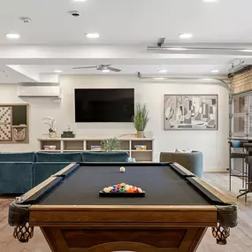 Game Room with Pool Table