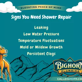 Bild von Bighorn Plumbing