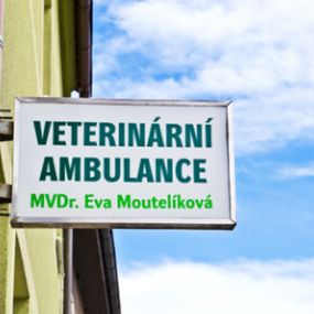 Veterinární praxe - MVDr. Eva Moutelíková