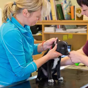 Bild von Veterinární praxe - MVDr. Eva Moutelíková