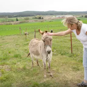 Bild von Veterinární praxe - MVDr. Eva Moutelíková