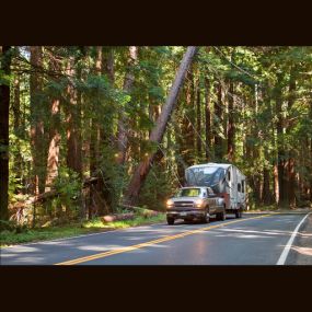 Bild von Camping World RV Sales