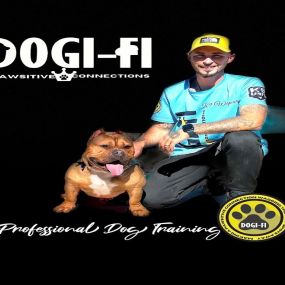 Bild von Dogifi Dog Training