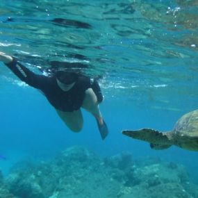 Bild von Maui Island Surf and Snorkel