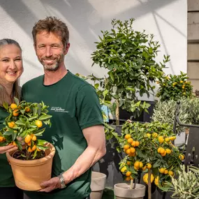 Bild von Gärtnerei & Floristik Josef Streicher