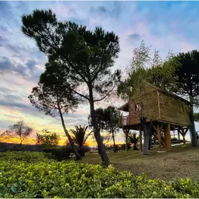 Bild von Alanís Rural. Cortijo nuestra señora de las Angustias