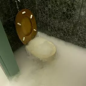 Bild von Riool R.I.R. Leidingtechniek