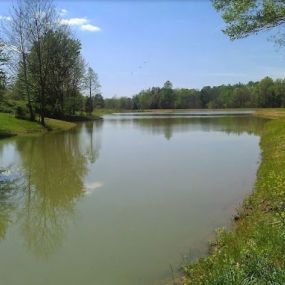 Bild von Roger Gunter Excavating, Bulldozing & Pond Building