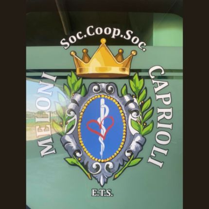 Logo van Ambulanze Private Meloni e Caprioli