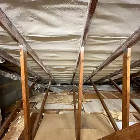 Bild von Revive Maintenance