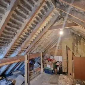 Bild von Revive Maintenance