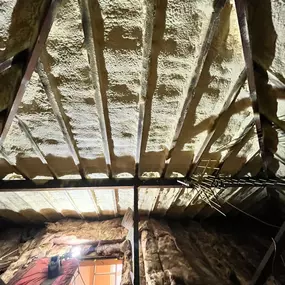 Bild von Revive Maintenance