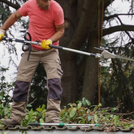 Logótipo de Tas-Gartenbau