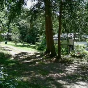 Bild von Campingplatz am Sassenpfuhl e.V.