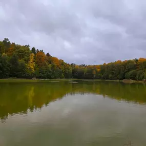 Bild von Campingplatz am Sassenpfuhl e.V.