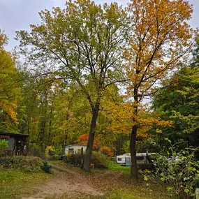 Bild von Campingplatz am Sassenpfuhl e.V.