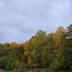 Bild von Campingplatz am Sassenpfuhl e.V.