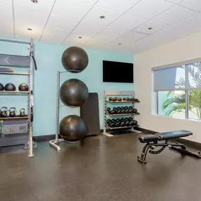 Health club  fitness center  gym