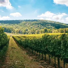 Minutes from wineries, breweries, and more