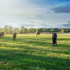 Scenic living just moments from everyday conveniences