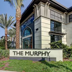 Bild von The Murphy Irvine