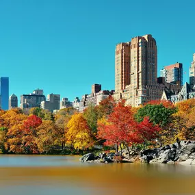 Bild von Kimpton Hotel Eventi by IHG
