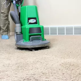 Home Carpet Cleaners in Raleigh, NC