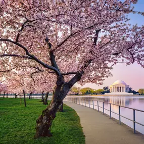 Bild von Kimpton Hotel Monaco Washington DC