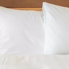 Bild von Holiday Inn Express Corpus Christi - Beachfront by IHG