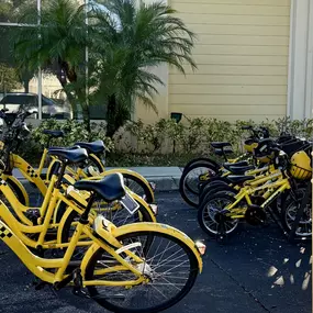 Bild von Holiday Inn Express & Suites Clermont SE – West Orlando by IHG