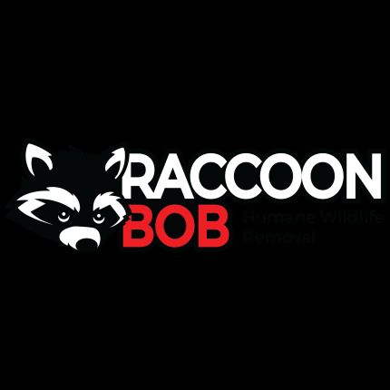 Logo od Raccoon Bob
