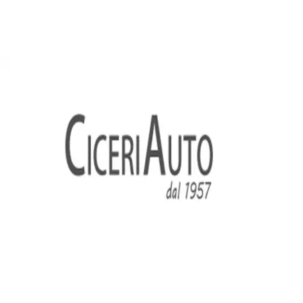 Logo von Ciceri Auto