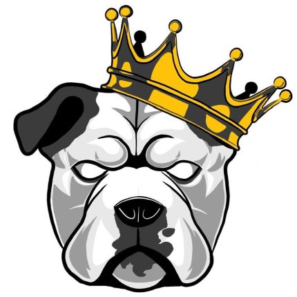 Logo da Big Dog Diesel and Automotive Repair