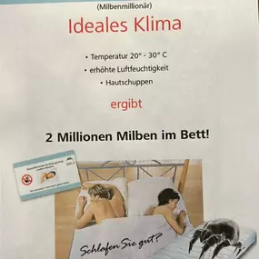 Bild von Hyla - Klara Denzler