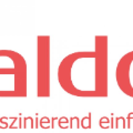 Logo de SALDO EDV-Beratung GmbH