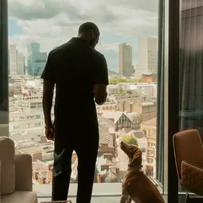 Dog in room