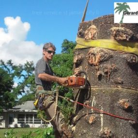 Bild von Gerard's Tree Service