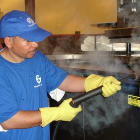 Dry Steam Cleaning and Sanitizing