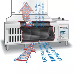 Whole-House Ventilation Systems