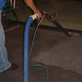 Professional Carpet Cleaning
