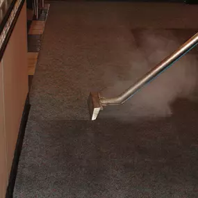Professional Carpet Cleaning