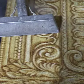 Professional Carpet Cleaning