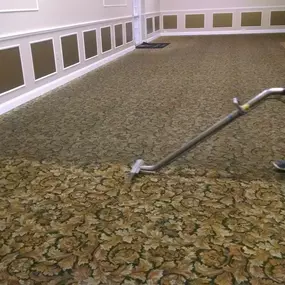 Professional Carpet Cleaning