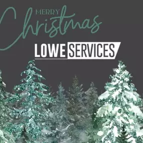 Bild von Lowe Services