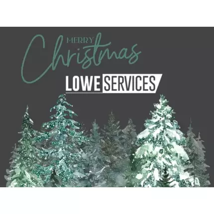 Logo de Lowe Services